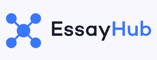 EssayHub essay writing services
