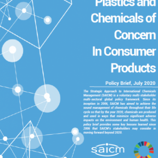 Plastics and Chemicals of Concern In Consumer Products