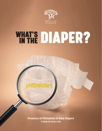 What's in the Diaper