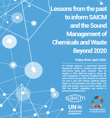 Lessons from the past to inform SAICM and the Sound Management of Chemicals and Waste Beyond 2020