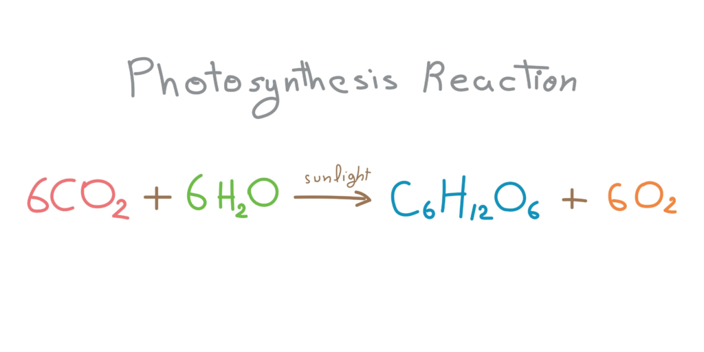 balance chemical equations